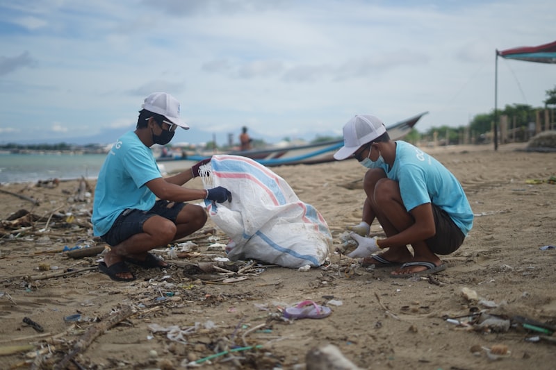 Beach cleanup volunteers